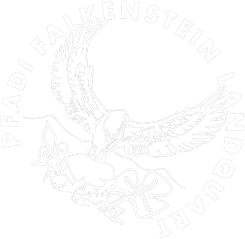 Pfadi Falkenstein